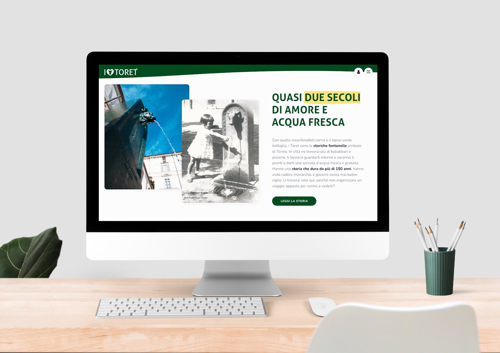 Sviluppo sito web per i love toret