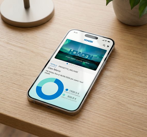 Sviluppo APP Howdenflex