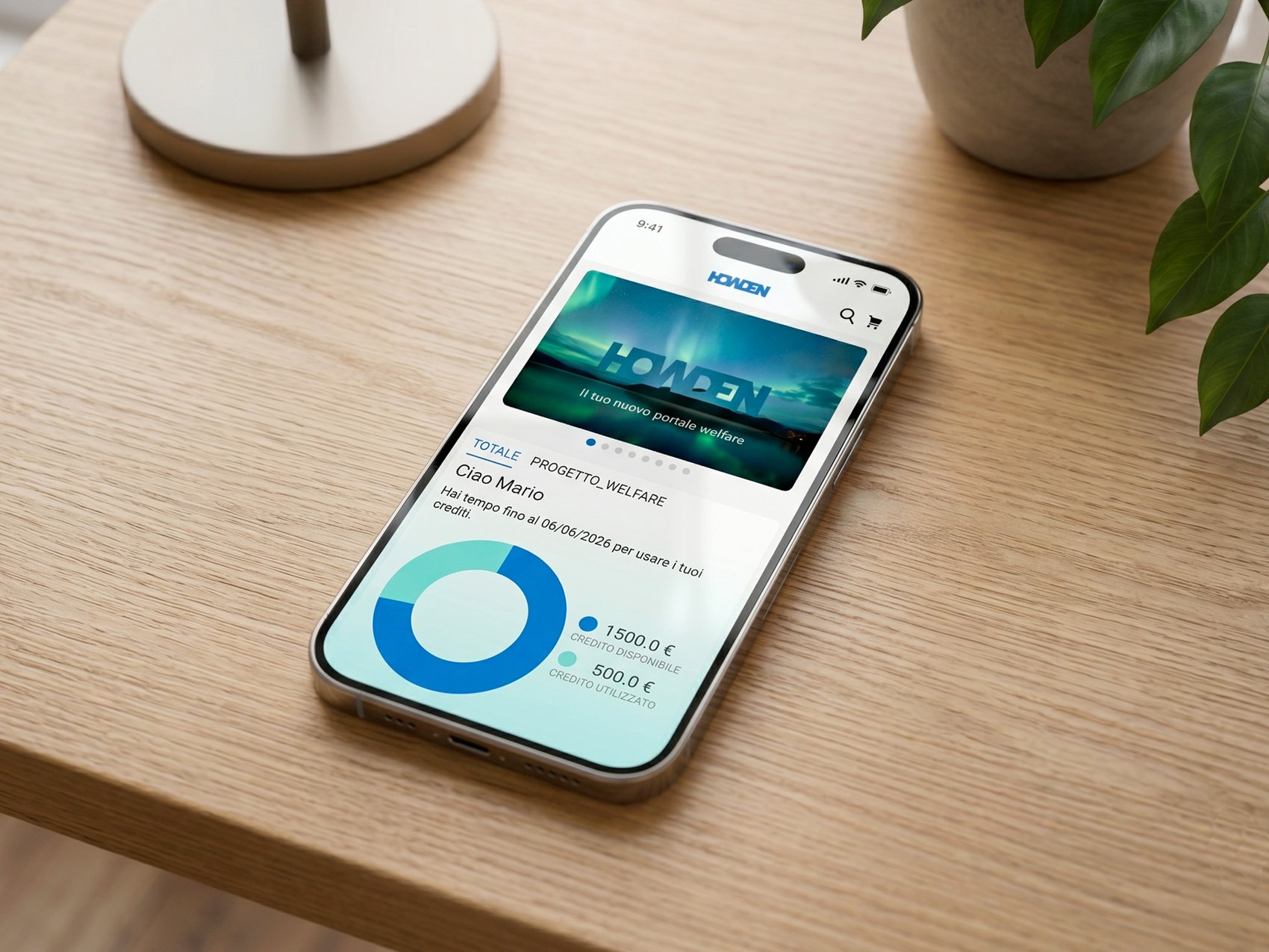 Sviluppo APP Howdenflex