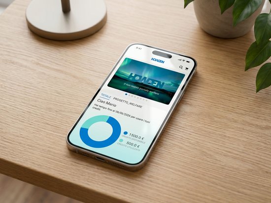 Sviluppo APP Howdenflex