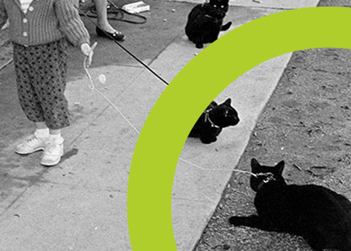 images/microinfluencer_marketing_xegcP3j.2e16d0ba.fill-760x545.png