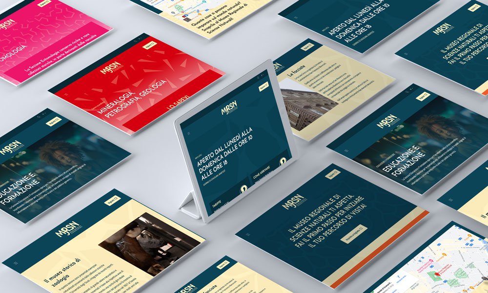 Alcune sezioni del sito del MRSN