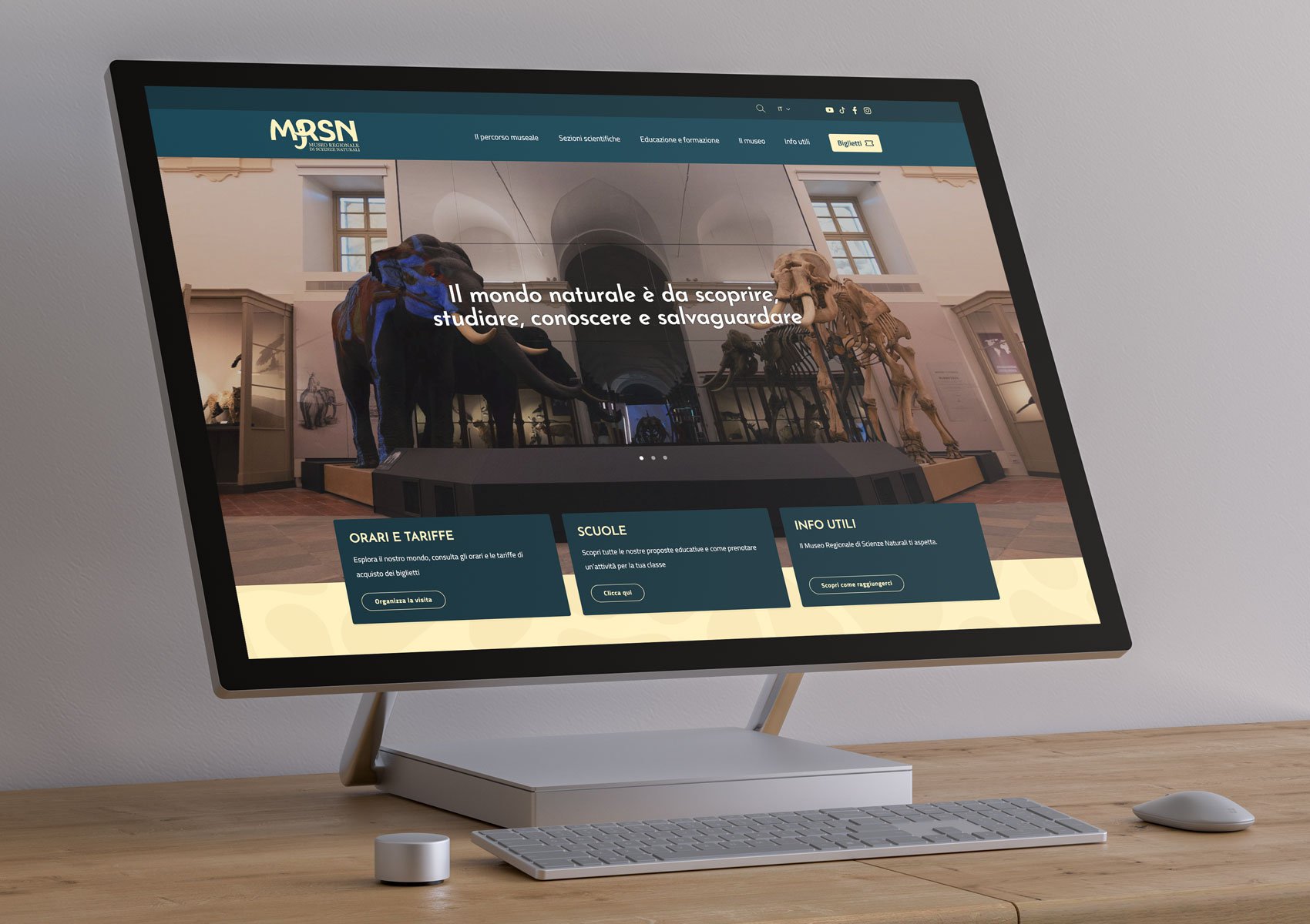 Sviluppo sito web del Museo Regionale di Scienze Naturali di Torino