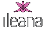 calze-ileana